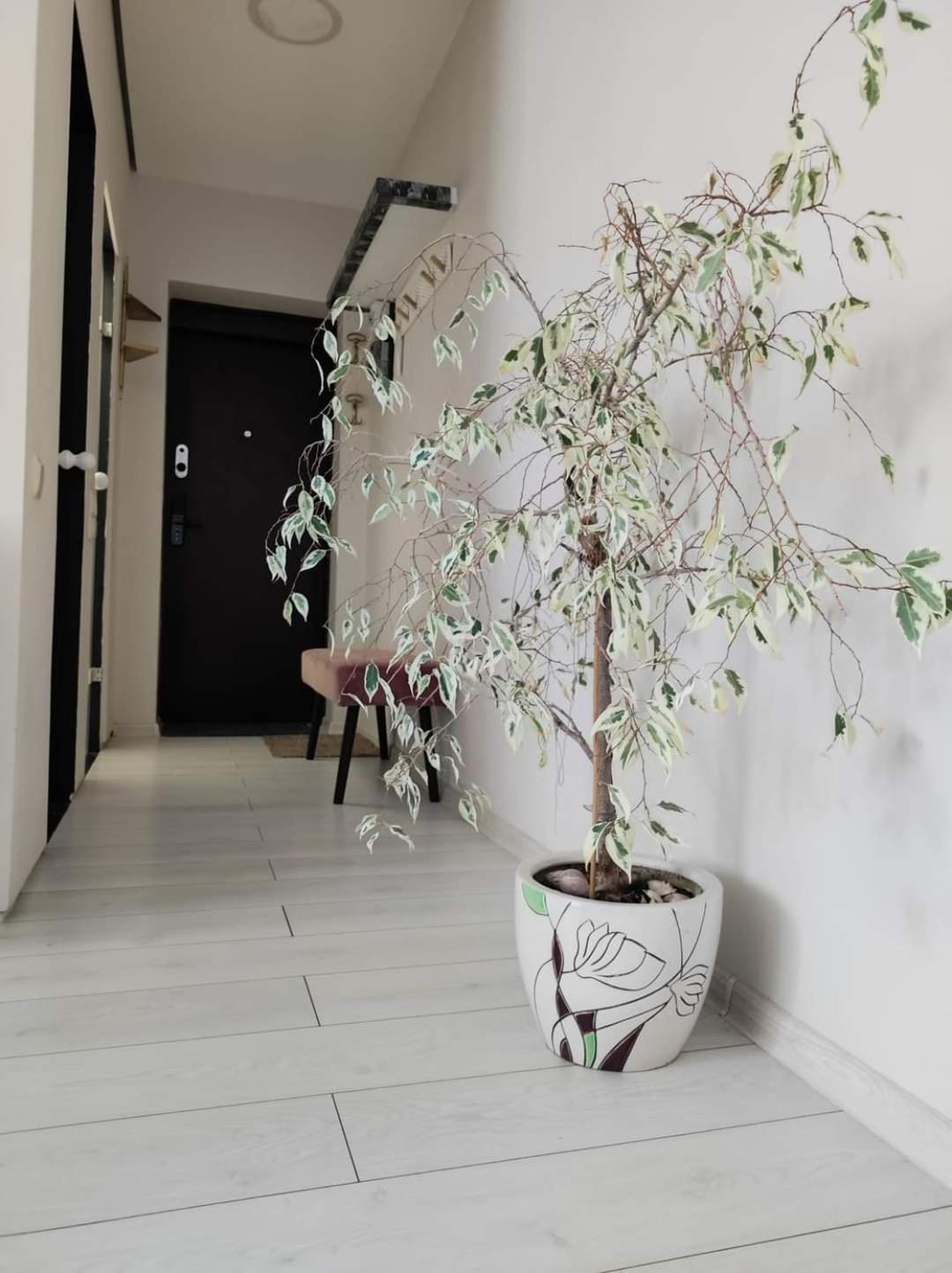 Apartamentai Miesto Centre Šiauliai Eksteriør bilde